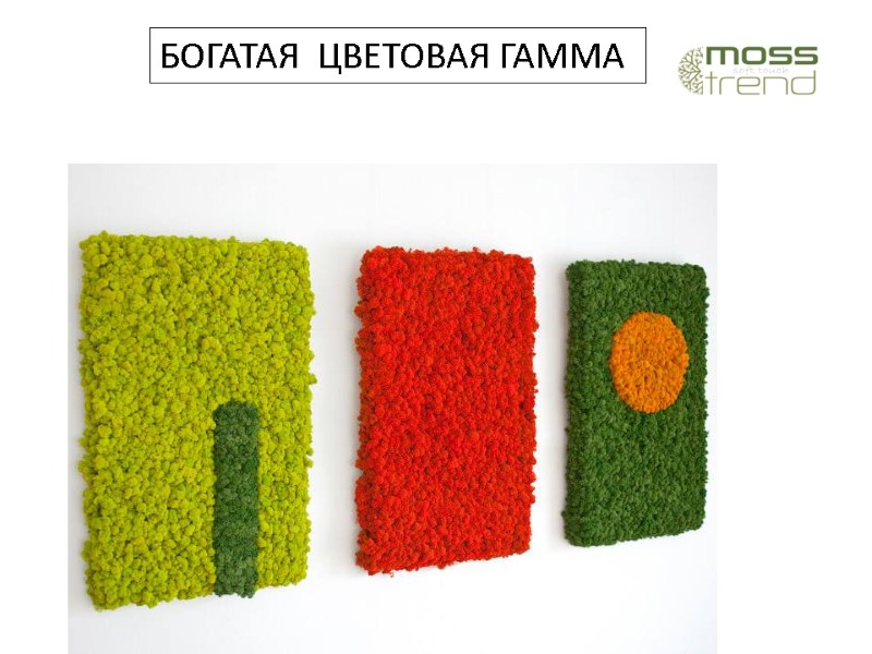 БОГАТАЯ  ЦВЕТОВАЯ ГАММА